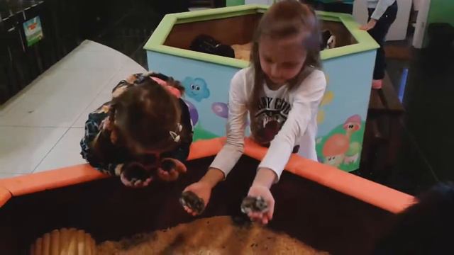 Контактный зоопарк на #КатюшаТВ смотреть онлайн