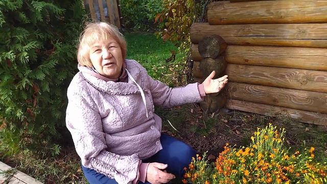 БЕЗВРЕМЕННИК - БЕЗУМНО КРАСИВ И НЕПРИХОТЛИВ! смотреть онлайн