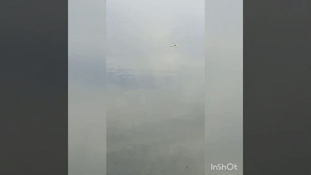 Рыбаки ловили рыбу, а поймали... ?(жабу) ? смотреть онлайн