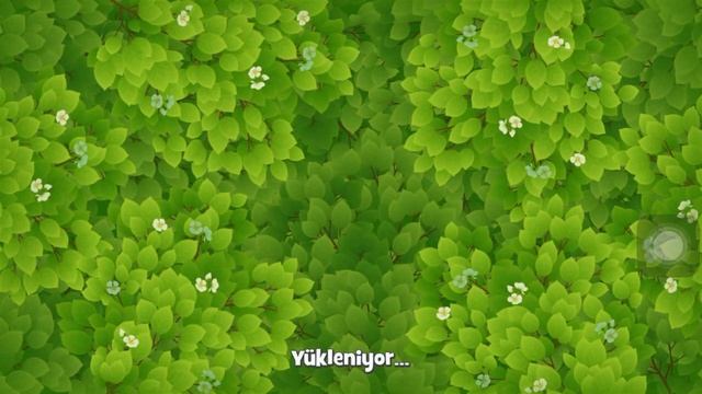 Gardenscapes All Gardens Completed %100 LVL 5000 | Full Tour Of #Gardenscapes