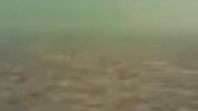 Окунь в Капёнках (подводные съёмки) 1 часть смотреть онлайн