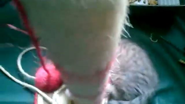 Чудесный детский сад ))) смотреть онлайн