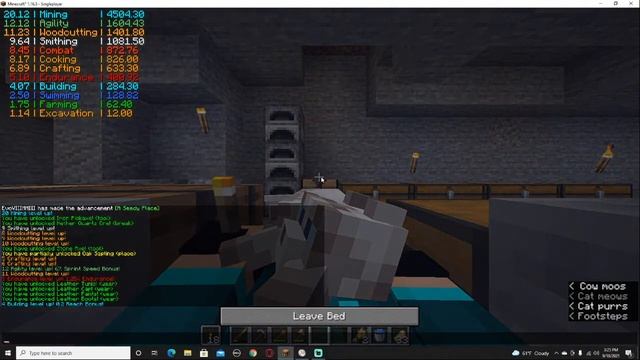 Mincraft Project MMO 3