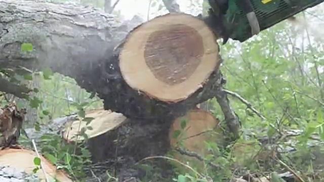 Stumpbroke John Deere 16" .325, 8 pin. смотреть онлайн