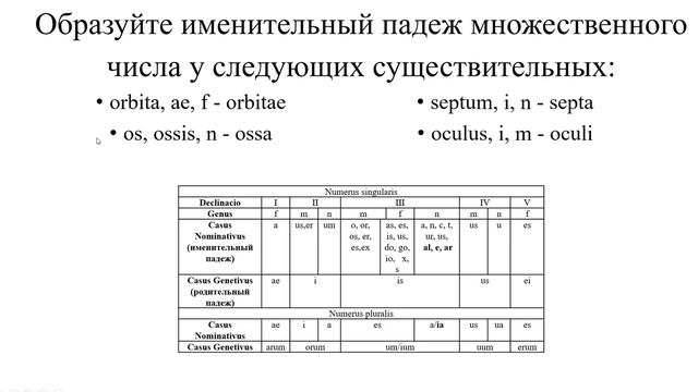 Имя существительное (практика) смотреть онлайн