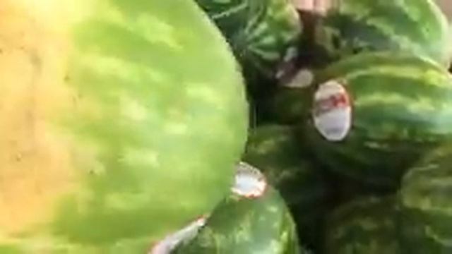 #BuhayAmerica: HOW THEY DO GARDEN IN AMERICA | STRAWBERRY SEASON IS HERE | Strawberry Hill SC смотреть онлайн