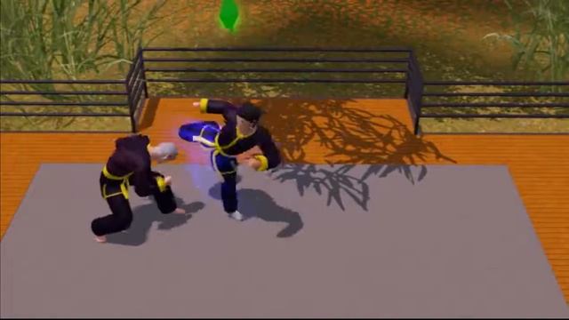 The Sims 3 : World Adventures Martial Arts Tournament смотреть онлайн