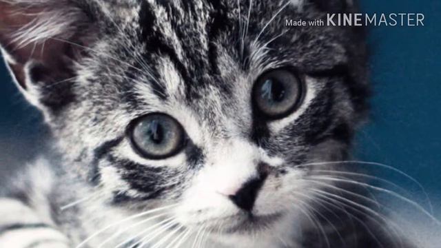 Задавайте мне вопросы я отвечу смотреть онлайн