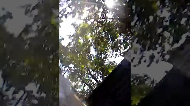 С лучшим другом катаемся с колонкой и танцуем)) смотреть онлайн
