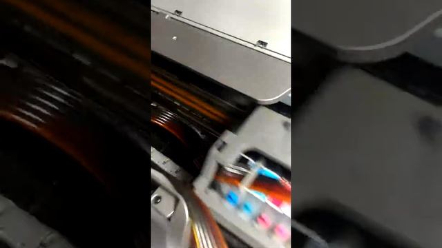Epson R300
