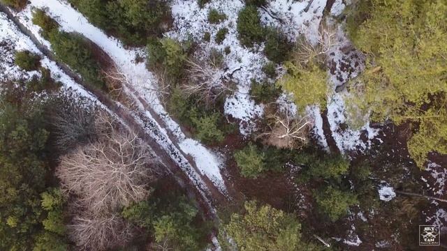 До снега. Зимний лес на закате дня. смотреть онлайн