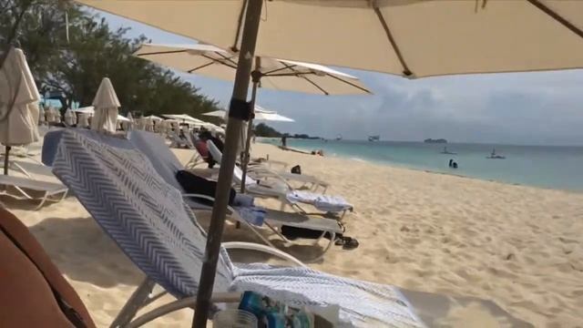 Kinney-Kurdziel’s Cayman 2019 смотреть онлайн