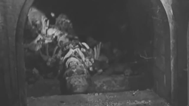 Run Music Video смотреть онлайн