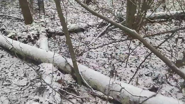 удобное приспособление для транспортировки бревен смотреть онлайн