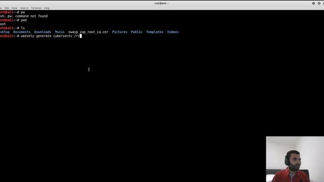 Exploit File Upload Vulnerability| Weevely смотреть онлайн