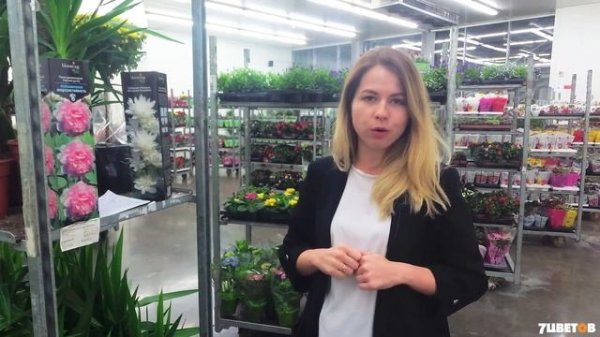 Саженцы Blooming Life | Обзор упаковки и рекомендации по хранению