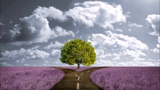 ОЧИЩЕНИЕ РОДА. КОРРЕКТИРОВКА РАЗВИЛОК РЕАЛЬНОСТЕЙ #НаянаБелосвет смотреть онлайн