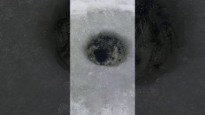 Лунка во льду топором-миф или реальность