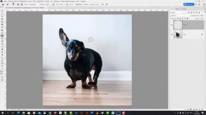 Как сделать симметричный объект в Фотошопе [Как отразить элемент при помощи штампа в Photoshop]