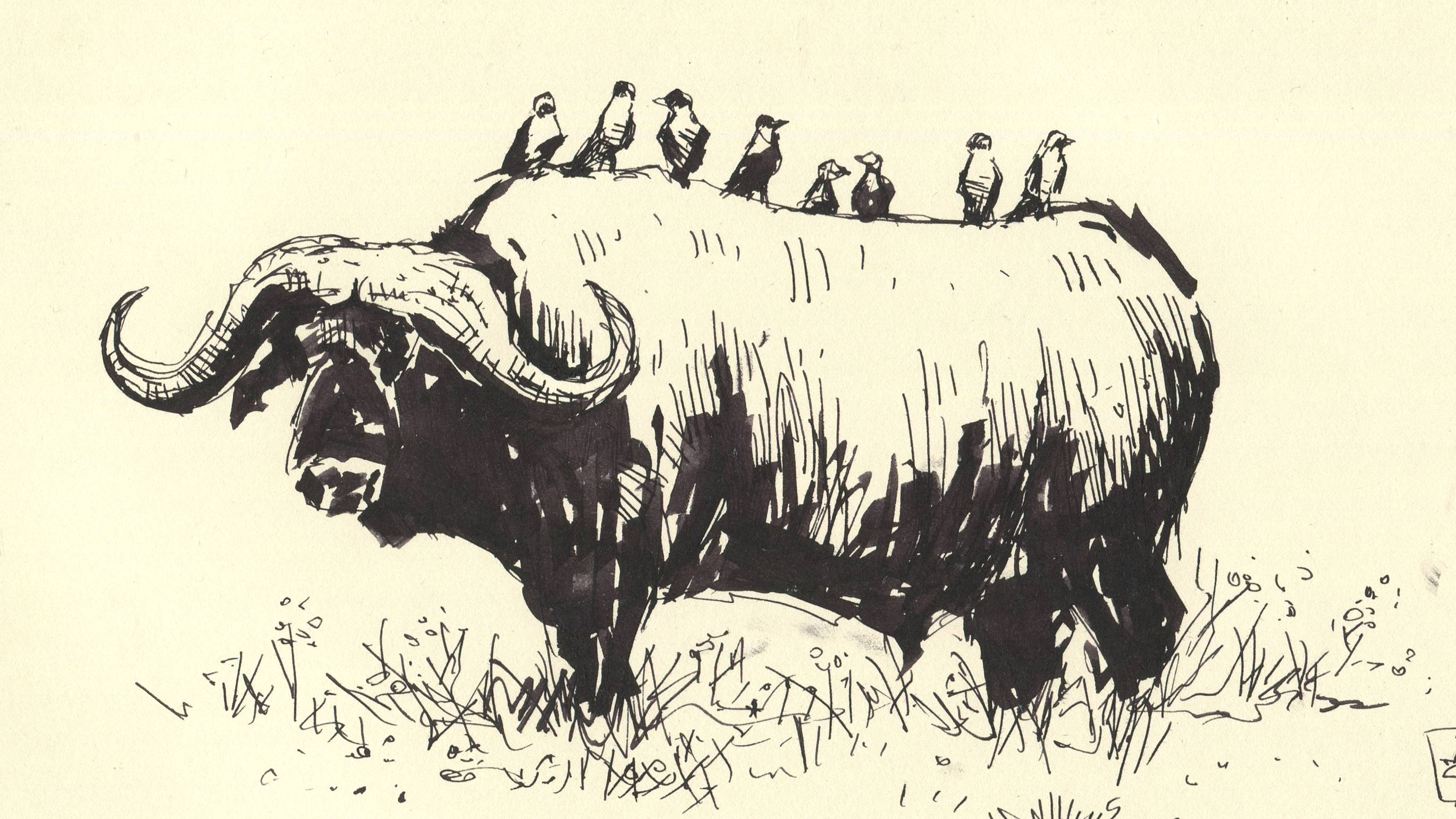 Pilot Parallel Pen (параллельпен, параллелька) на сколько хватает чернил