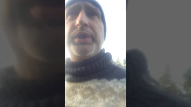 Ламанчи как порода смотреть онлайн