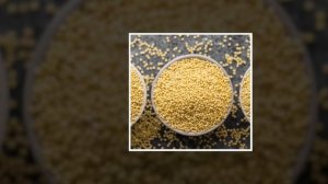 От боли не могла стоять на ногах. Начала добавлять 1 ложку пшена в... Уже 20 лет ничем не болею