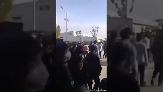 У китайцев меньше свобод, но больше мозгов. Нас обманывают о великом русском духе и бесстрашии смотреть онлайн