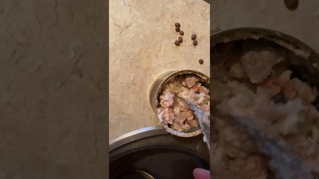 Тушенка (уйхня) гастроном номер 1 смотреть онлайн