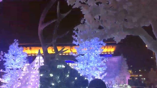 Музыкальный лес Москва 19 декабря смотреть онлайн