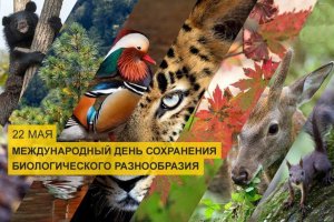 Международный день биологического разнообразия
