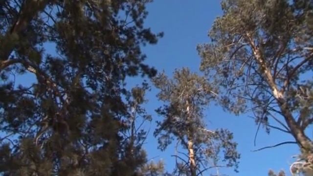 ПОГОДА ФЕВРАЛЬ