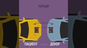 Как правильно прикурить авто