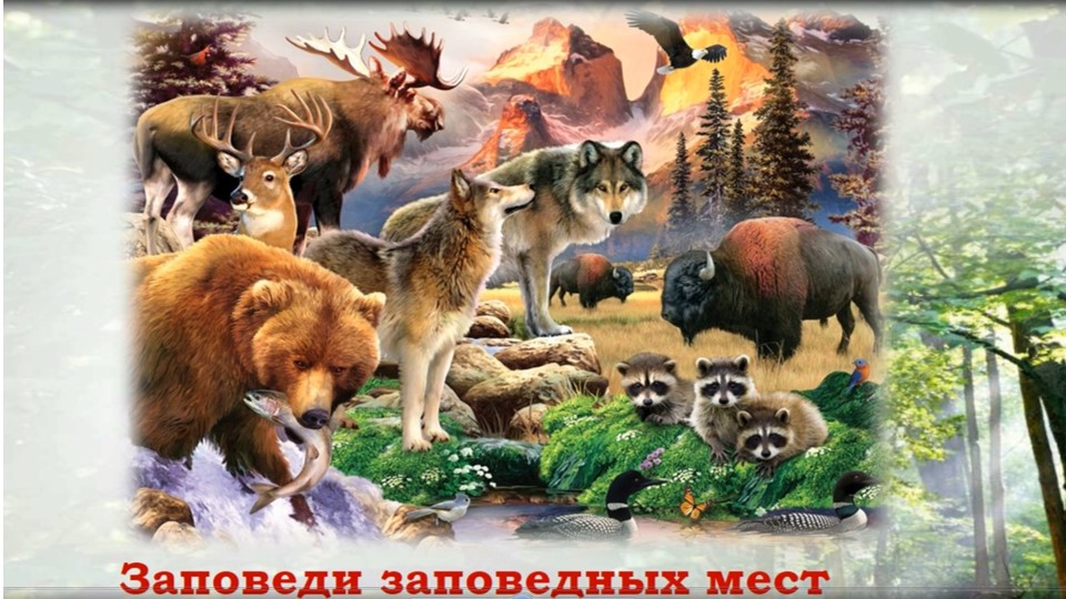 «Заповеди заповедных мест». Познавательный экскурс смотреть онлайн