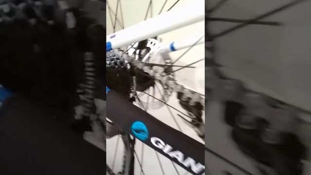 Sepeda Polygon Cleo 2.0 / Polygon mtb смотреть онлайн