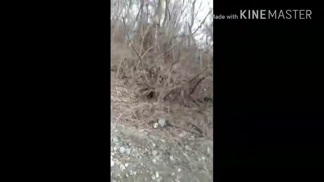 Я иду... На Сольфеджио!/ВЫПАЛА ЛЕГА ИЗ БЕСПЛАТНОГО СУНДУКА смотреть онлайн