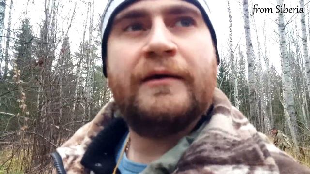 Случайно нашли лабаз и солонец на лося. смотреть онлайн