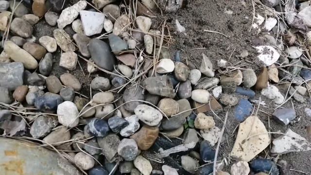 Новая туя западная Мистер боулинг болл, высадка! смотреть онлайн