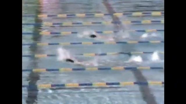 SB 1986 Star Games Part 2 - Swim Relay смотреть онлайн