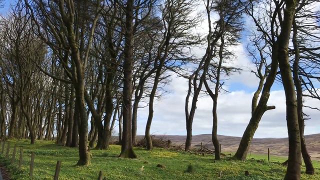 “In April” by Rainer Maria Rilke смотреть онлайн