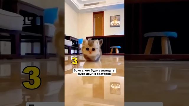 Страхи публичных выступлений смотреть онлайн