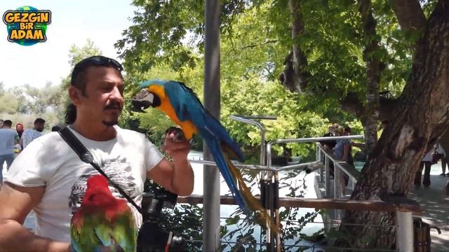 Manavgat Şelalesi - Bunaltıcı Yaz Günlerinde Kaçacak Mükemmel Bir Yer - Antalya, Türkiye