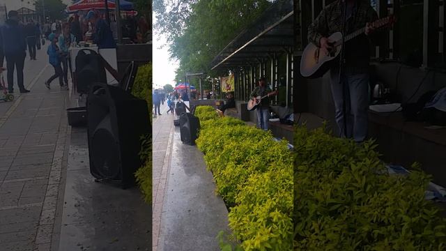 Александр Приморский поёт песни Розенбаума смотреть онлайн