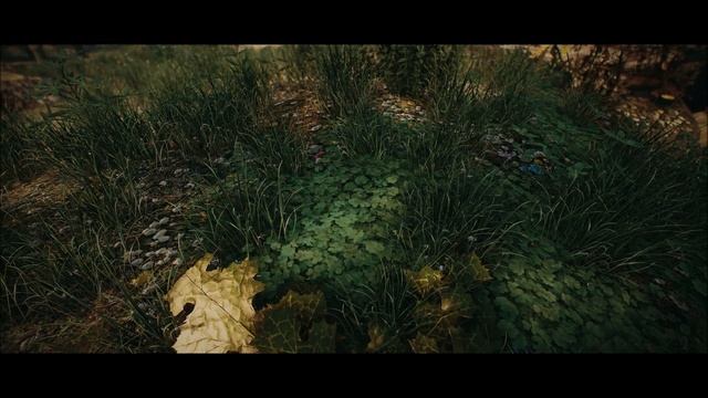 Skyrim SE Mod Showcase! Cathedral - 3D Pine Grass! | 4K смотреть онлайн