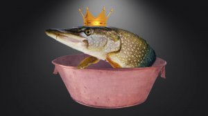 Три желания. Что пожелать?