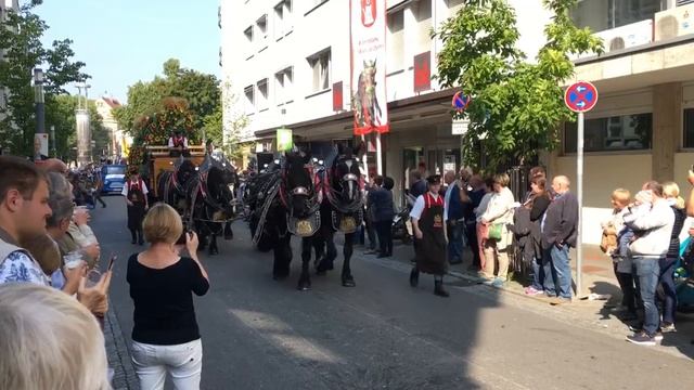 Cannstatter Volksfestumzug смотреть онлайн