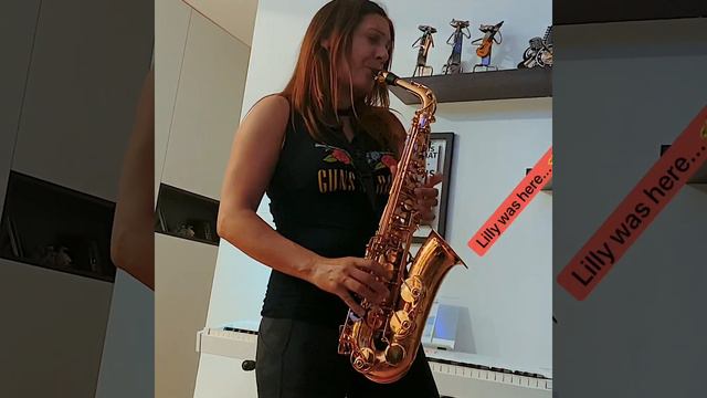 Lana Skrgatic live from lockdown piano/flute/sax/voice смотреть онлайн