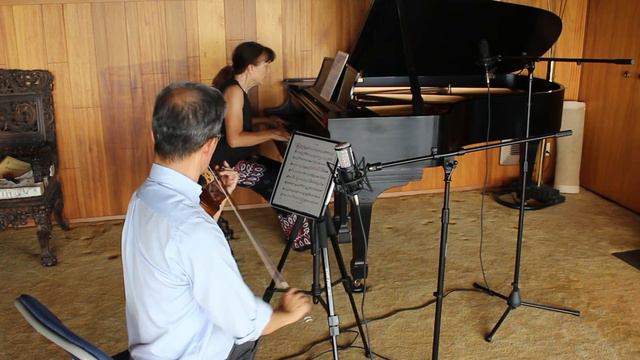 Brahms Violin Sonata No. 3 in D minor, Op 108, Mvt. 1 смотреть онлайн