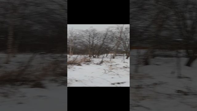 Чашниково 2500 кв смотреть онлайн