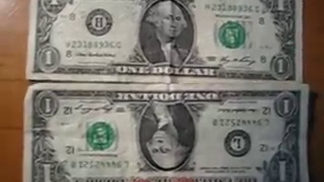 The One Dollar Bill Owl смотреть онлайн