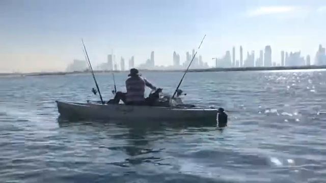 FISHING IN DUBAI/KAYAK/ смотреть онлайн